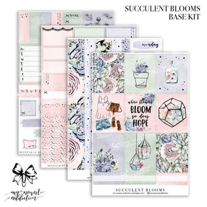 Succulent Blooms Collection